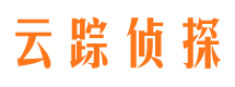 大厂侦探公司